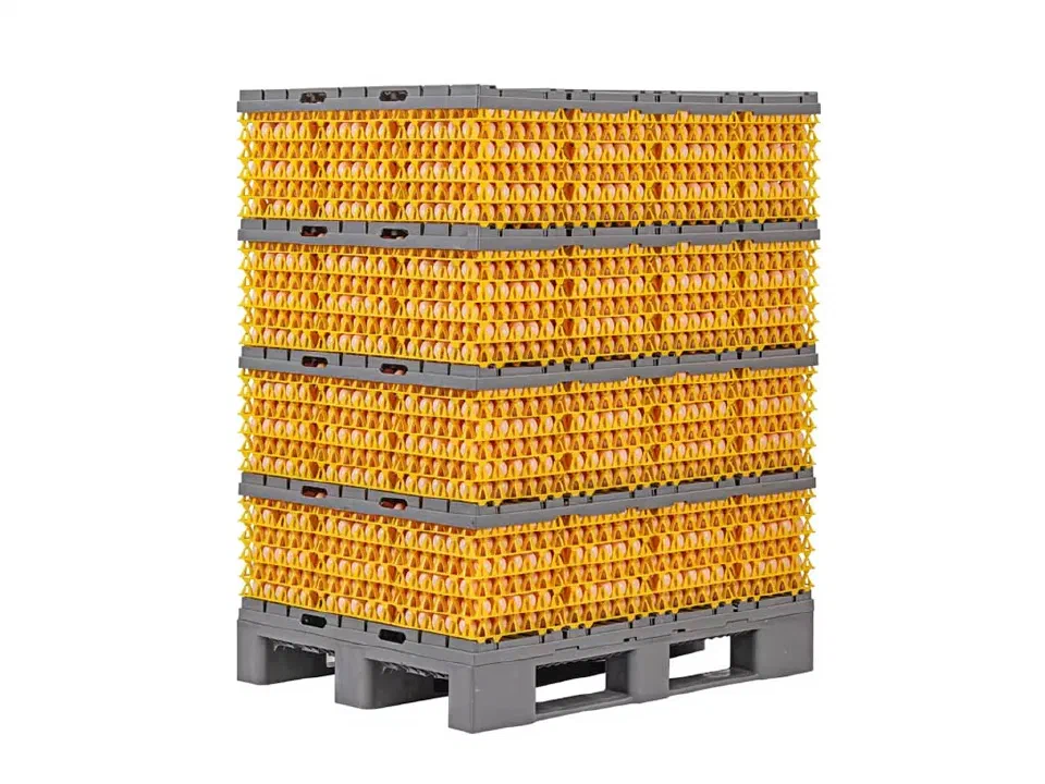 Egg Tray Transport Pallet System