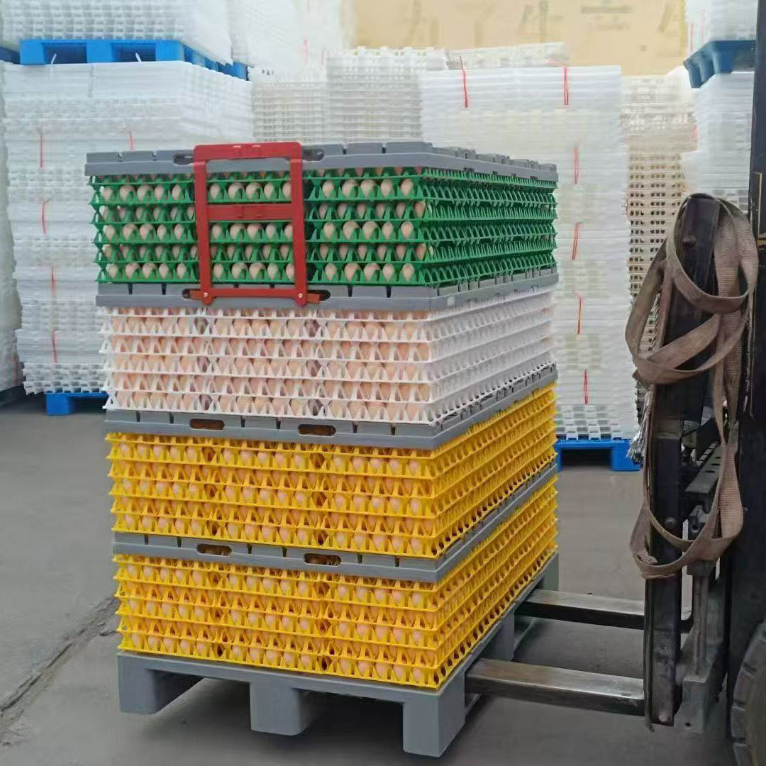 Egg tray transport pallet system industry use 1