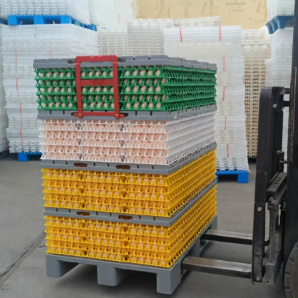 Egg tray transport pallet system industry use 1